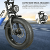 2000W 50 km/h LCD load 100kg climb 15¬∞ power range 90-100km LED (turn signal, taillight)